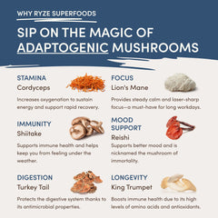 RYZE Nighttime Mushroom Cocoa Starter Bag F3