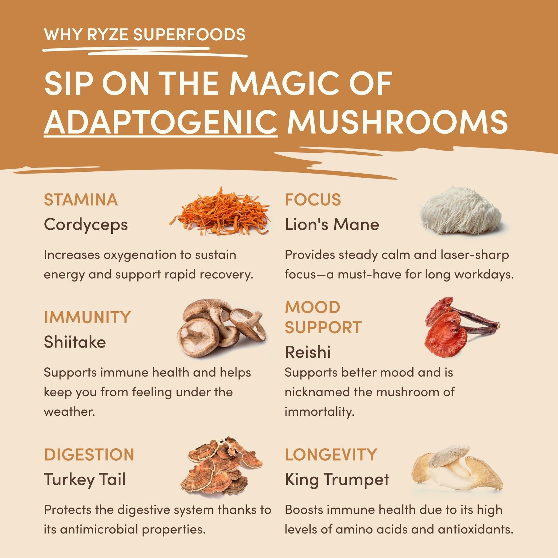 Mushroom Overnight Oats (14 Servings) E8