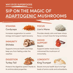 Vanilla + Caramel Superfood Creamer A3