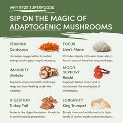 RYZE Mushroom Matcha — Organic Instant Matcha Latte with Lion's Mane & King Trumpet, 30 Servings S6