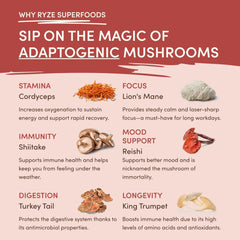 Mushroom Chai (20 Servings) V9