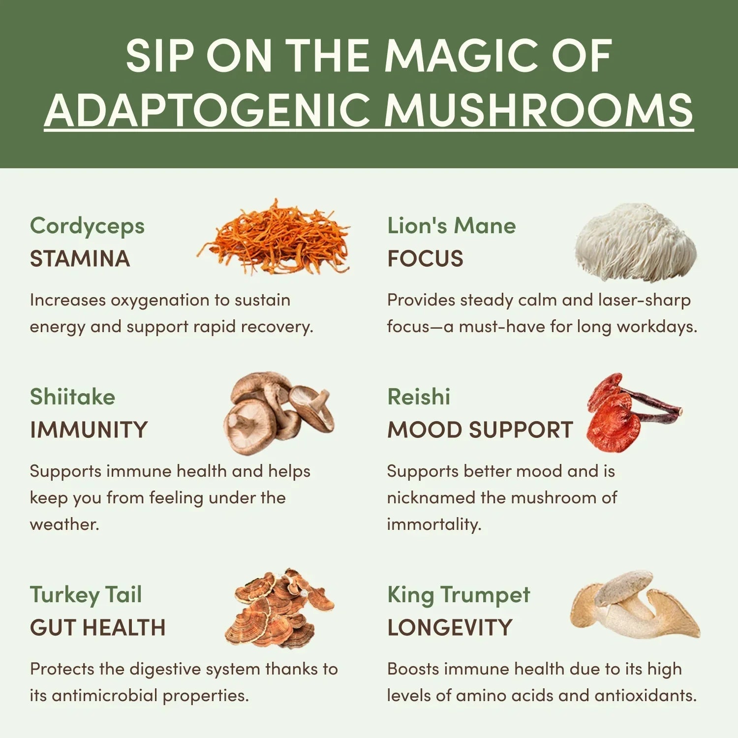 RYZE Ritual Set (Matcha + Coffee) W1