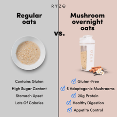 Mushroom Overnight Oats Pack (14 Servings) S9