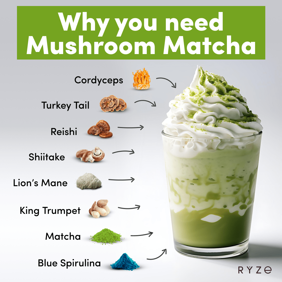 RYZE Mushroom Matcha - with 6 Organic Adaptogenic Mushrooms Grown In USA and Ceremonial-Grade Japanese Matcha K4